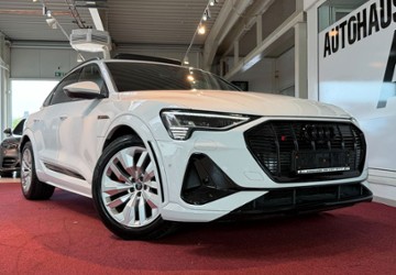 Audi e-tron 39.987 km 40.999 &euro; Peine 31228