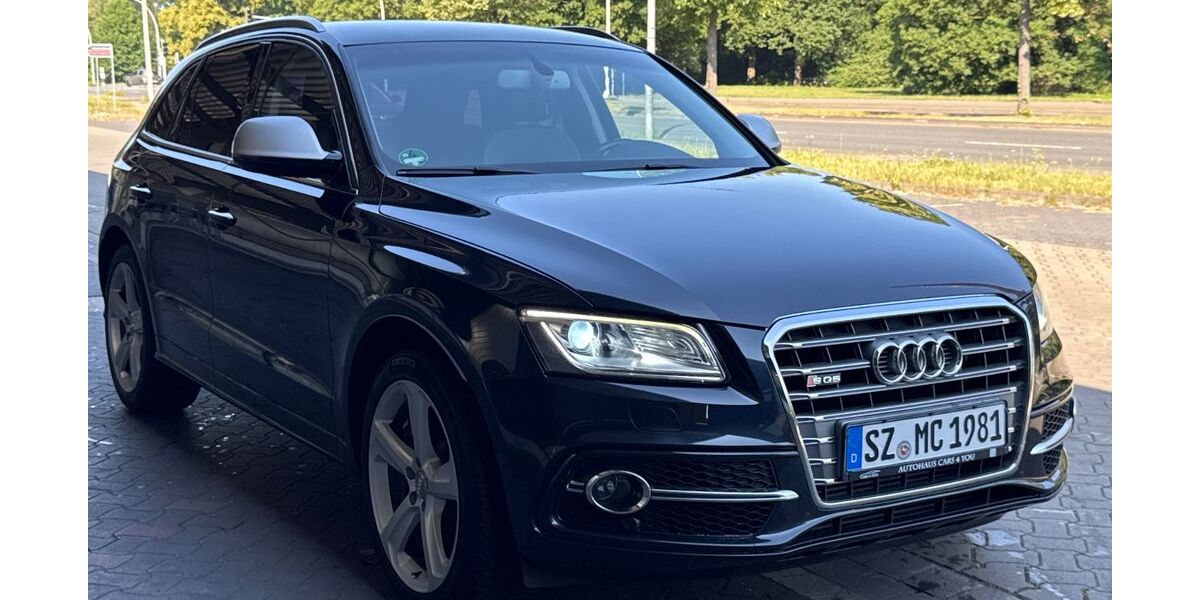 Audi SQ5 204.900 km 15.999 &euro; Salzgitter 38239