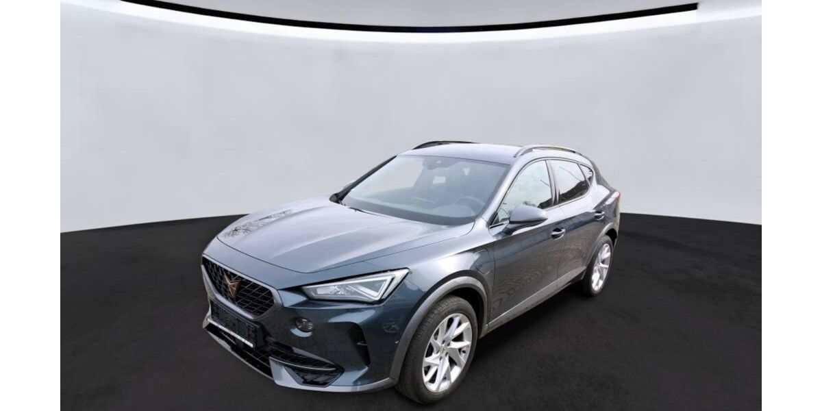Cupra Formentor 102.900 km 19.890 &euro; Braunschweig 38114