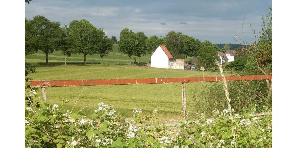 Feldrandlage