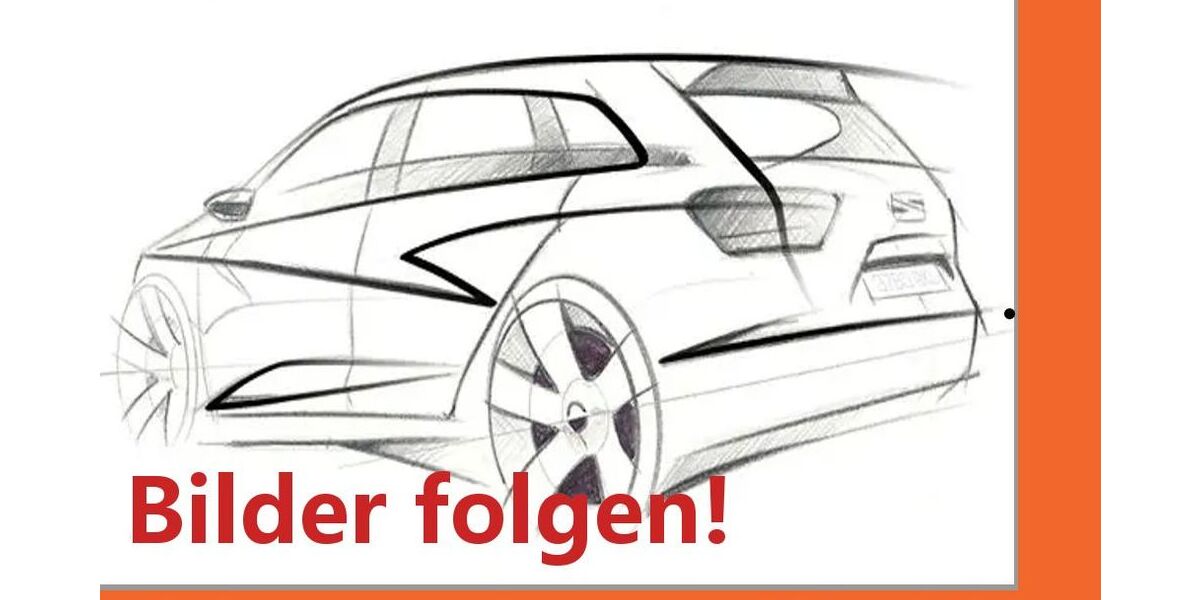 Cupra Terramar 10.500 km 35.990 &euro; Schwülper 38179