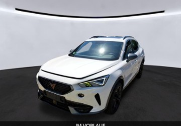 Cupra Formentor 27.700 km 28.490 &euro; Braunschweig Wenden 38110