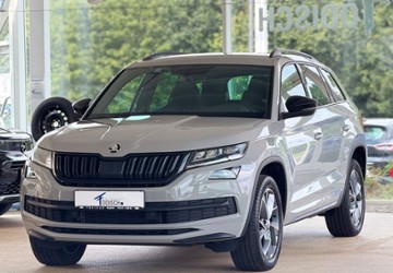 Skoda Kodiaq 121.300 km 23.790 &euro; Salzgitter 38228