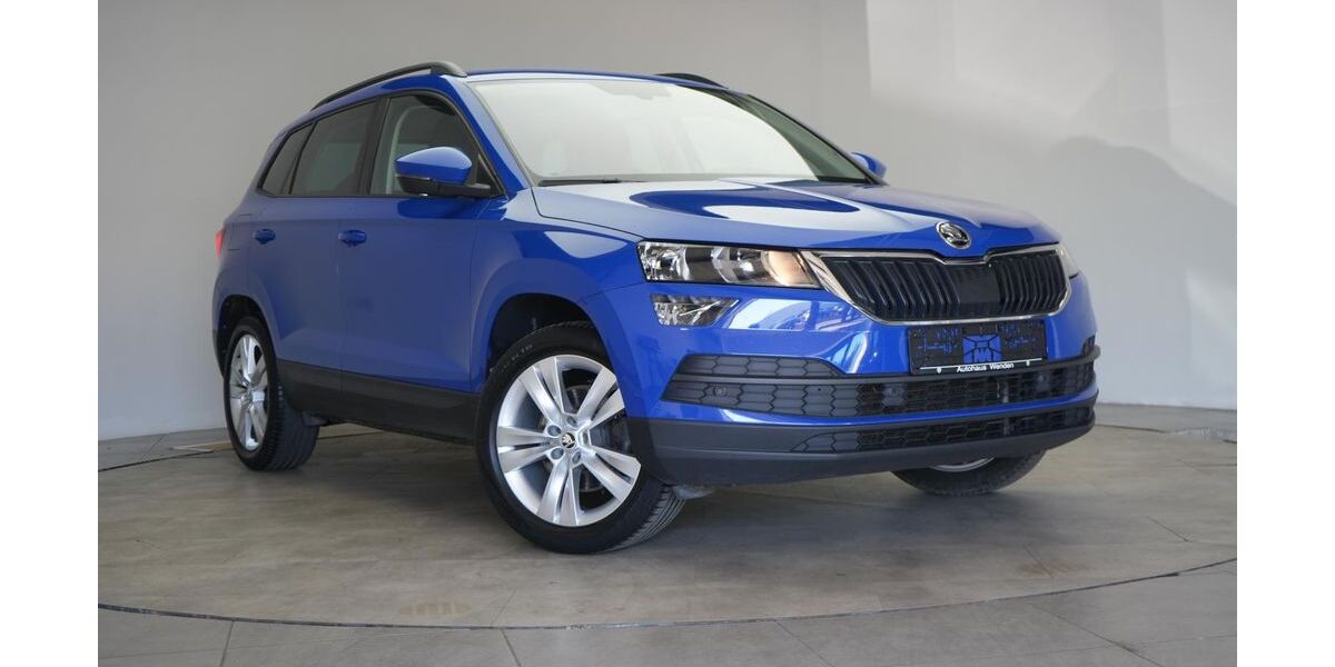 Skoda Karoq 133.000 km 20.890 &euro; Braunschweig 38110